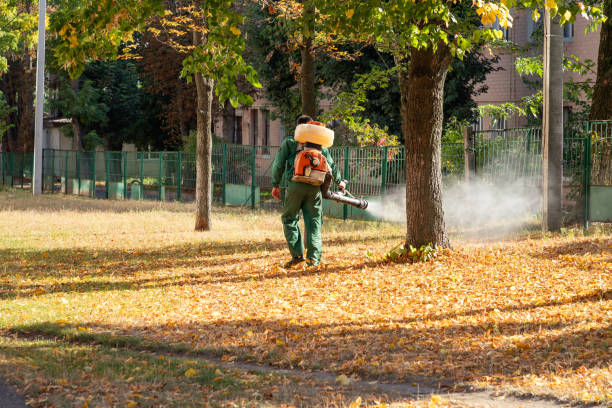 Wasp Removal Services in Wheeler, TX