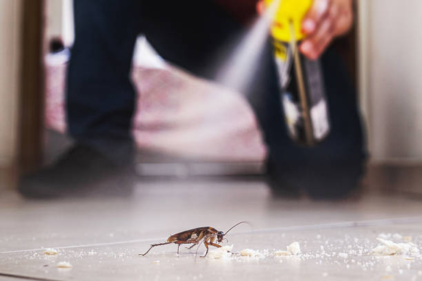 Wildlife Control Services in Wheeler, TX