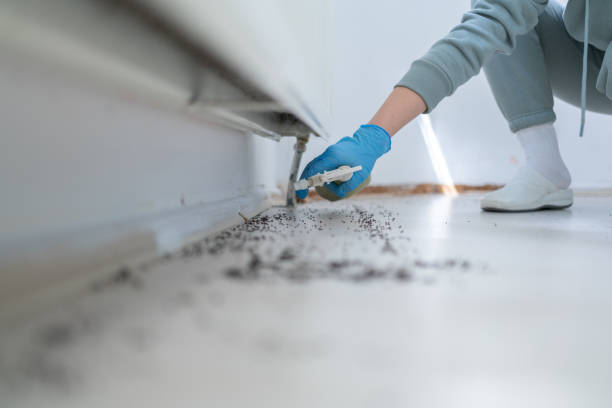 Wheeler, TX Pest Control Company